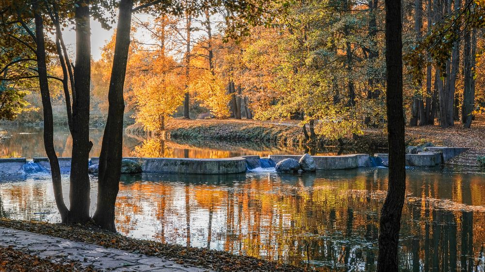 Фотография автора Александр Буренко