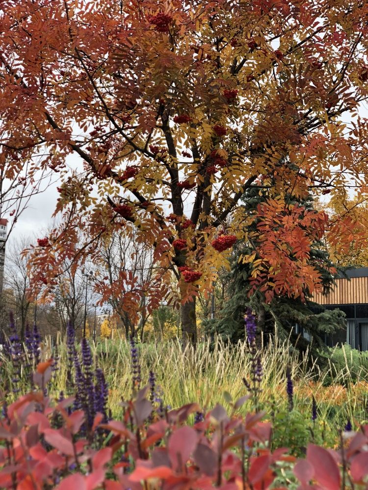 Photograph by Марина Георгиева