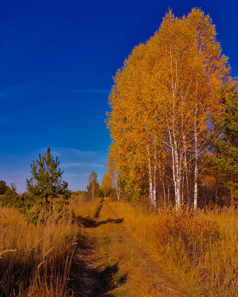 Photograph by Наталья Балабанова
