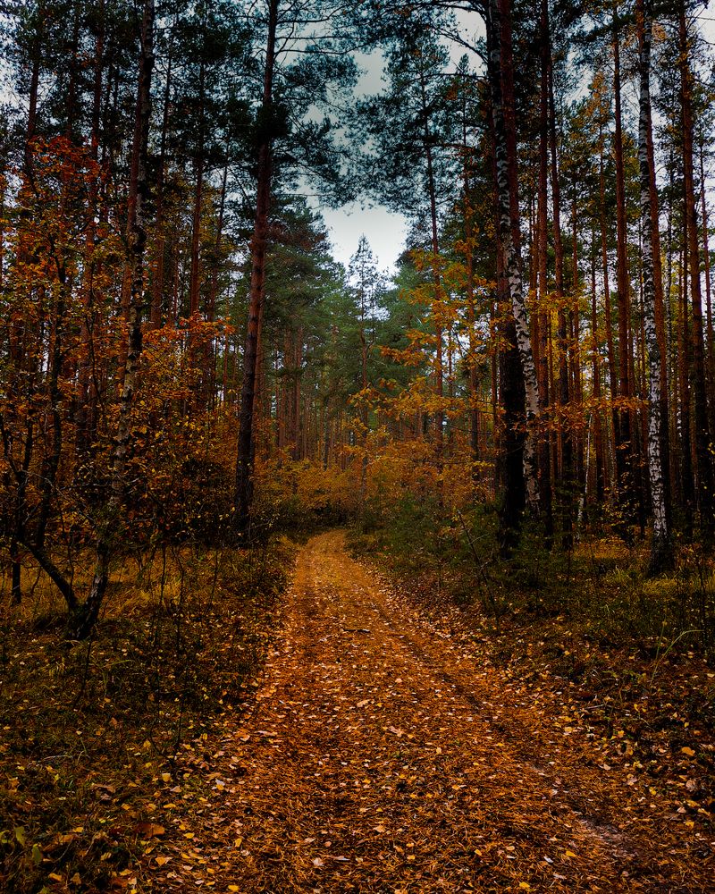 Photograph by Наталья Балабанова