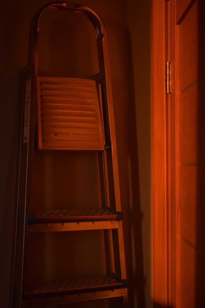 Photograph by Елена