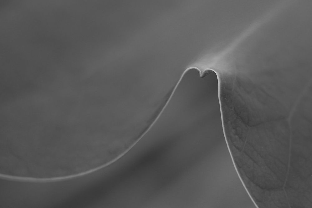 Photograph by Mostafa Mortazavi