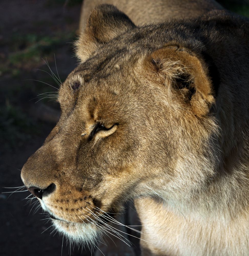 Photograph by Socratis Georgiadis