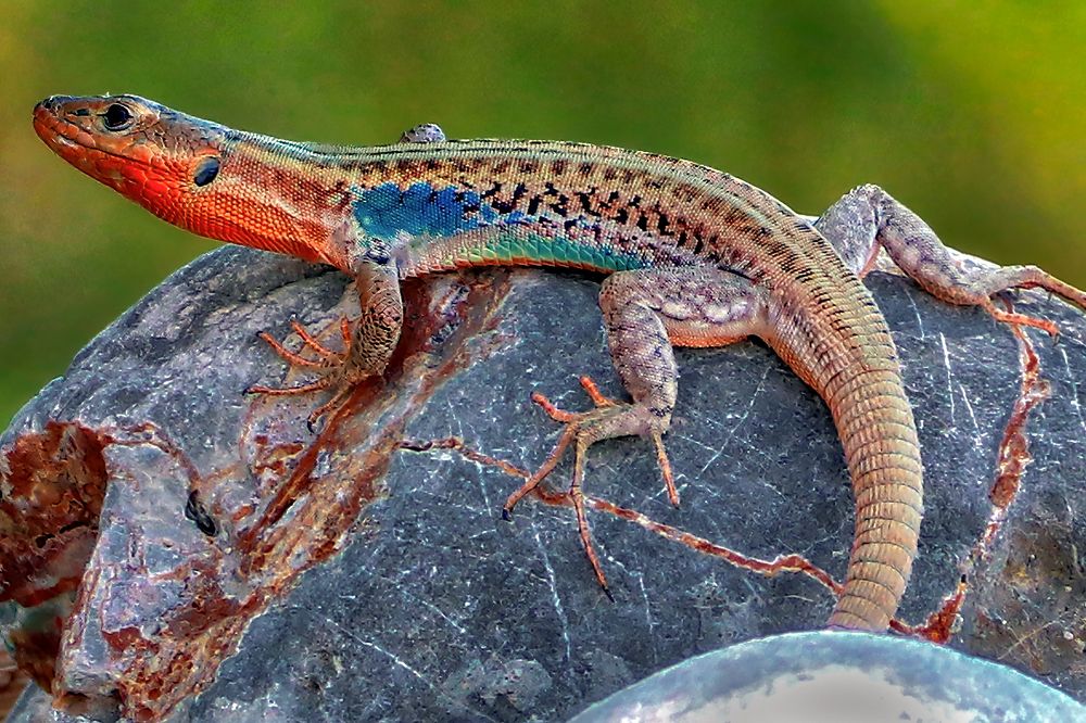 Photograph by Socratis Georgiadis