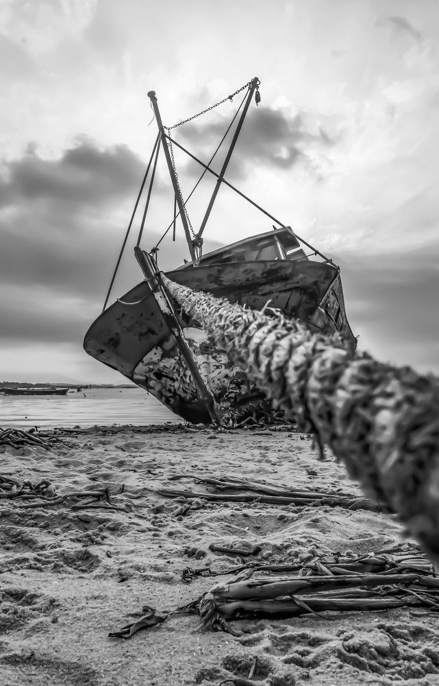 Photograph by Andre Nunes