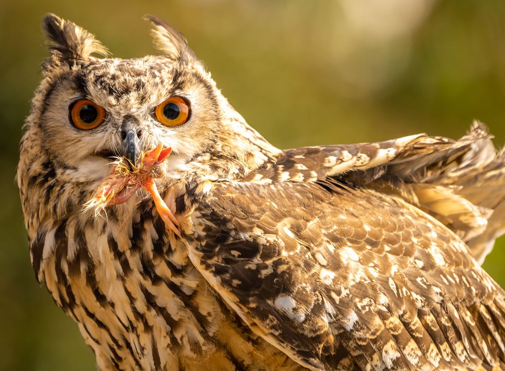 Photograph by Максимова Дария