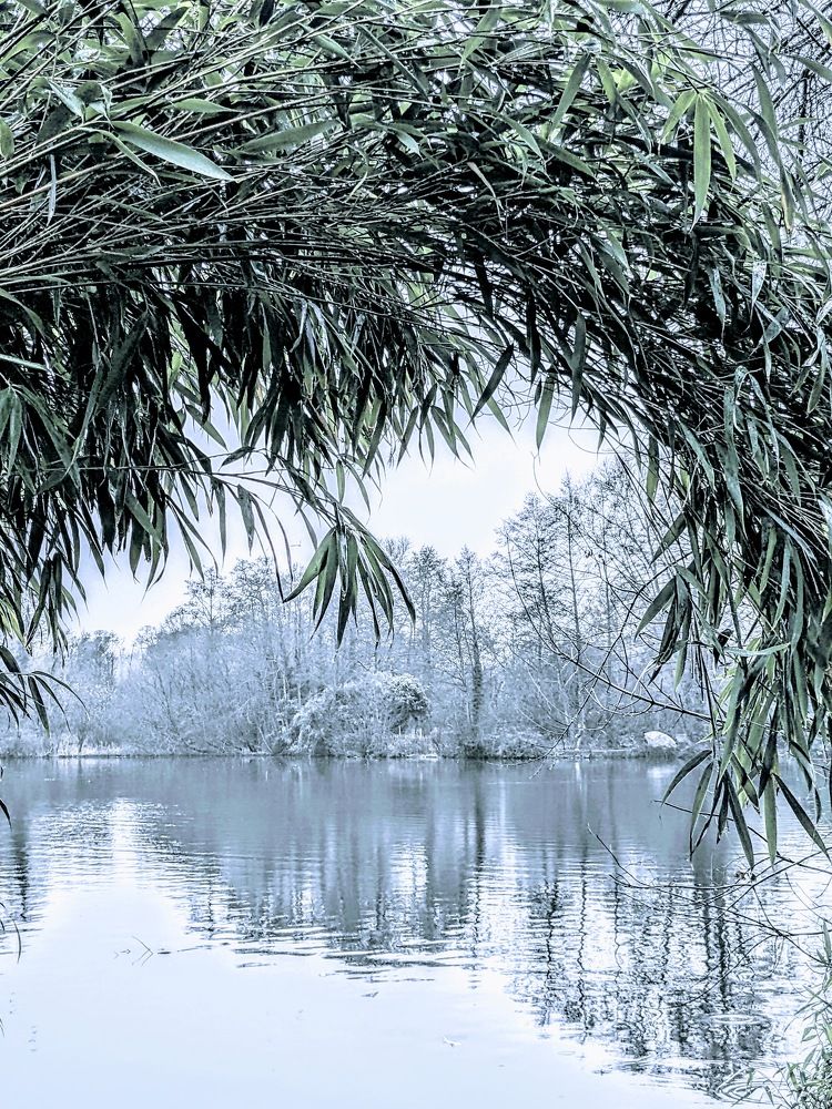 Winter at Broadwater