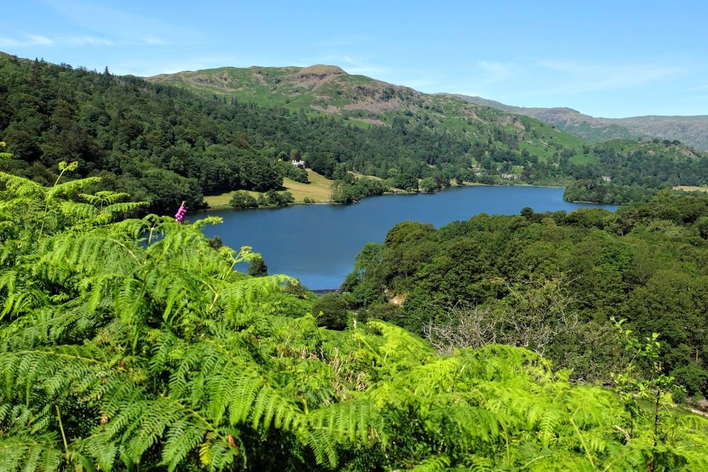 Grasmere Lake