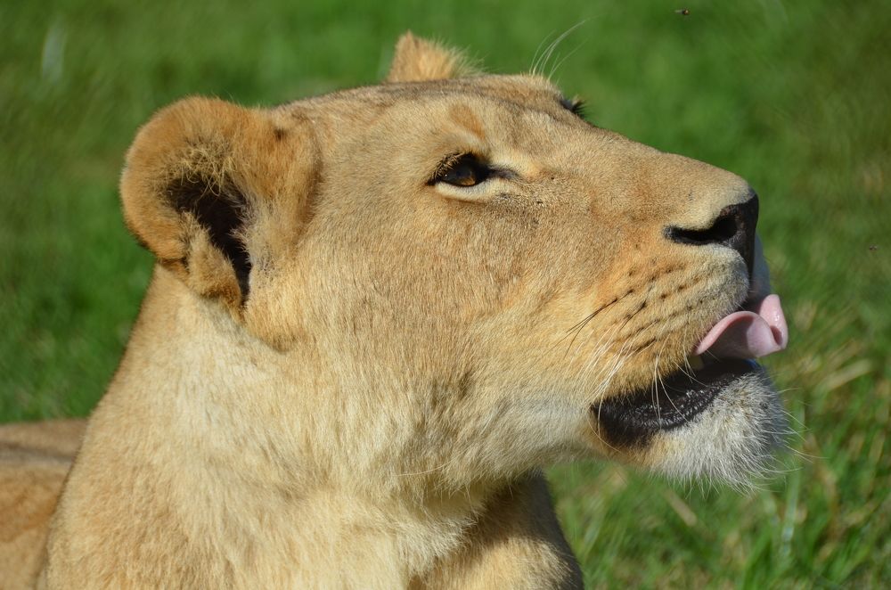 Photograph by Bradley Botten