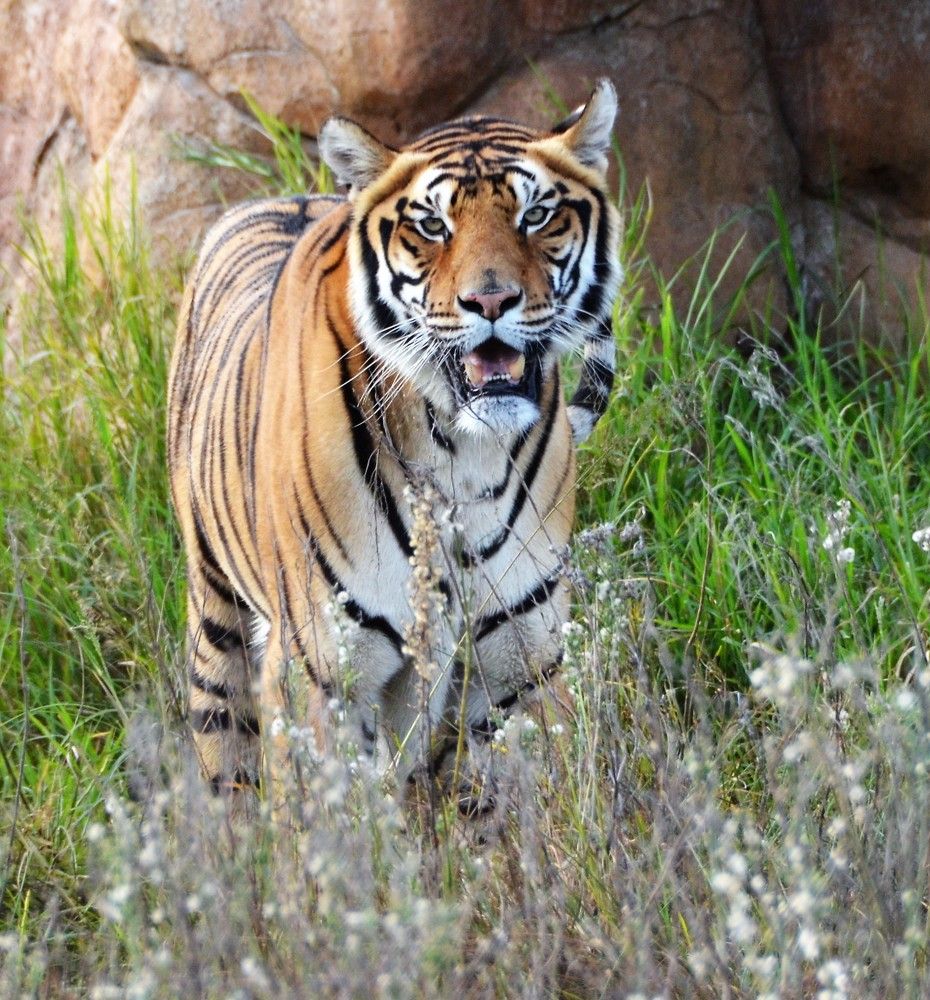 Photograph by Bradley Botten