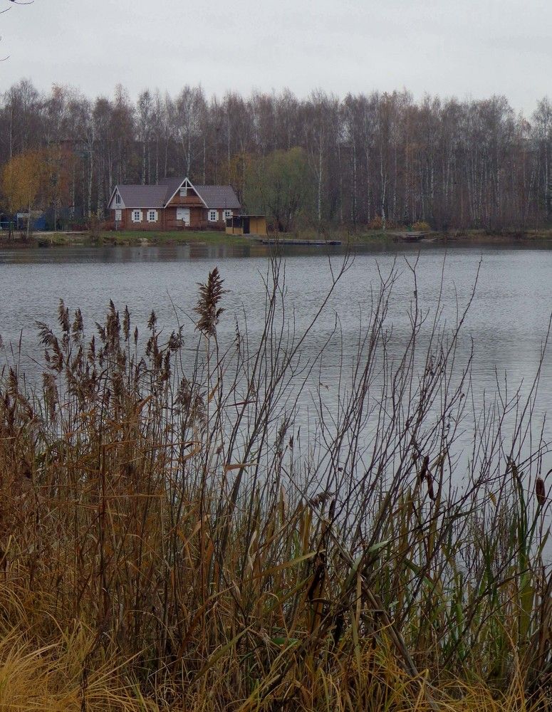 Photograph by Наталья Сазонова