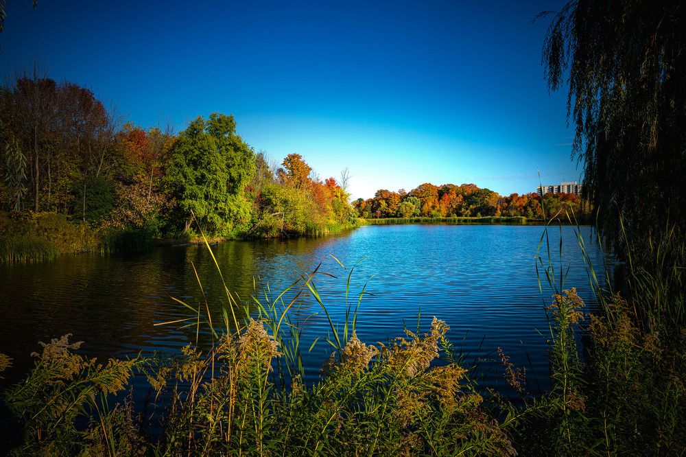 Photograph by AHMAD AL-HADDAD