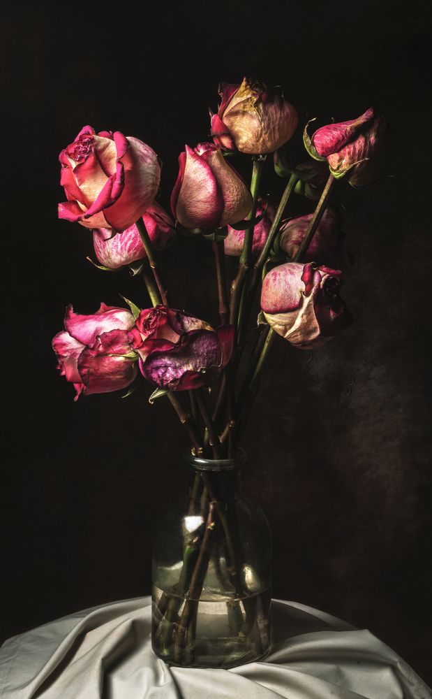 Photograph by Enrique Reyes