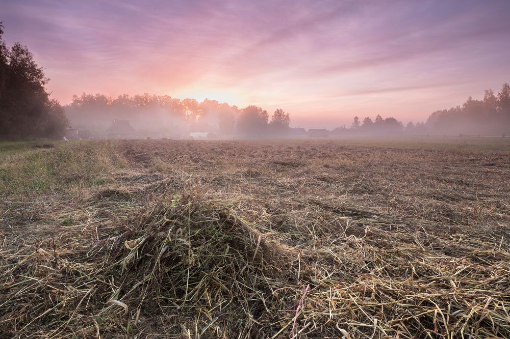 Photograph by Зеленько Дмитрий