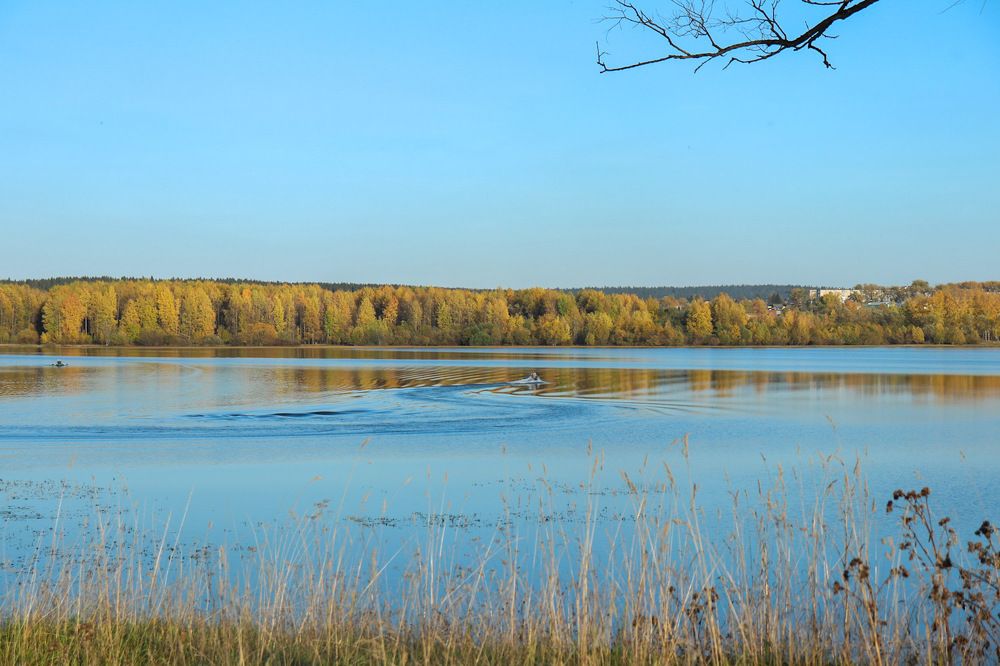 Photograph by Лилия Васильева