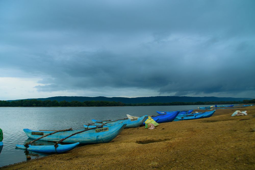 Photograph by L W Pasindu Lakshan