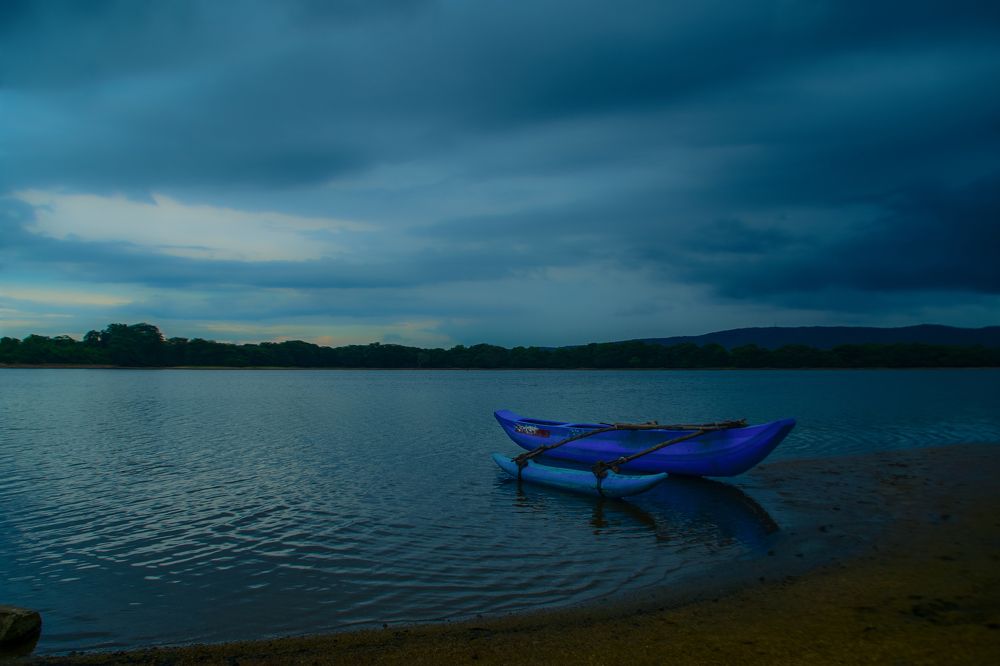 Photograph by L W Pasindu Lakshan