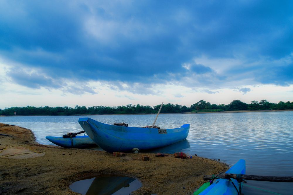 Photograph by L W Pasindu Lakshan