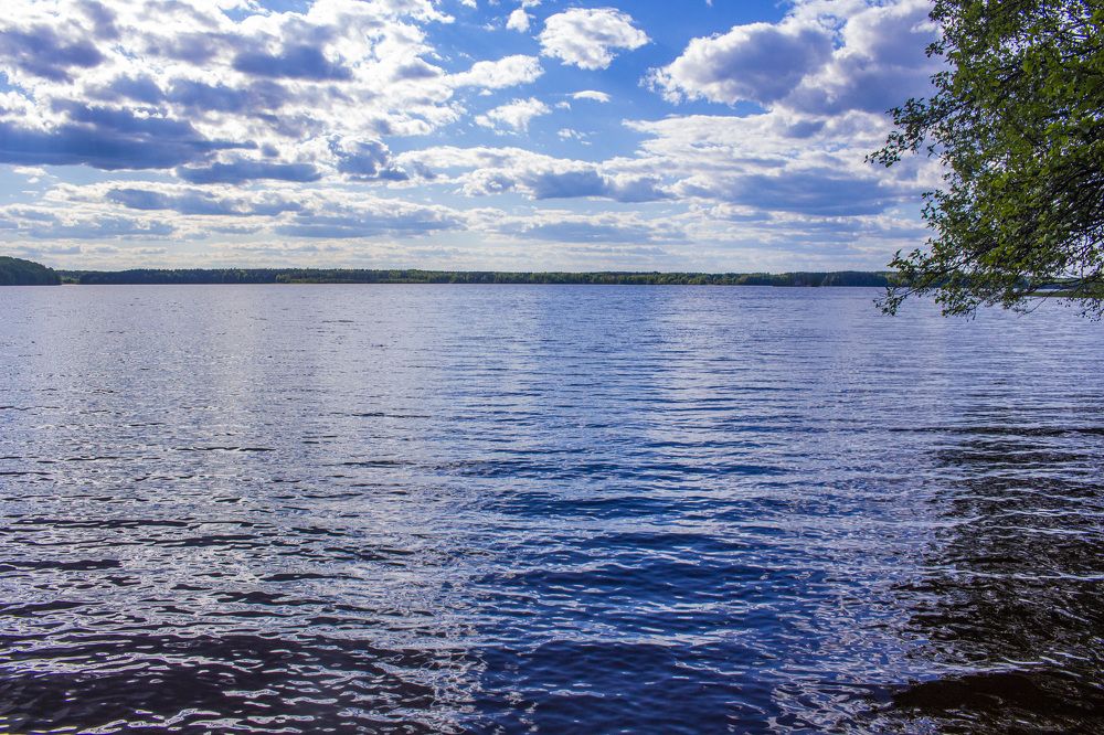 Photograph by Алексей Борисов