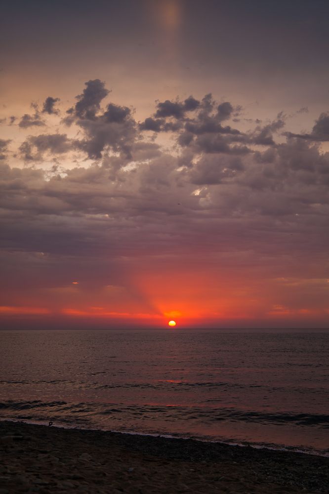 Фотография автора Мария Веселова