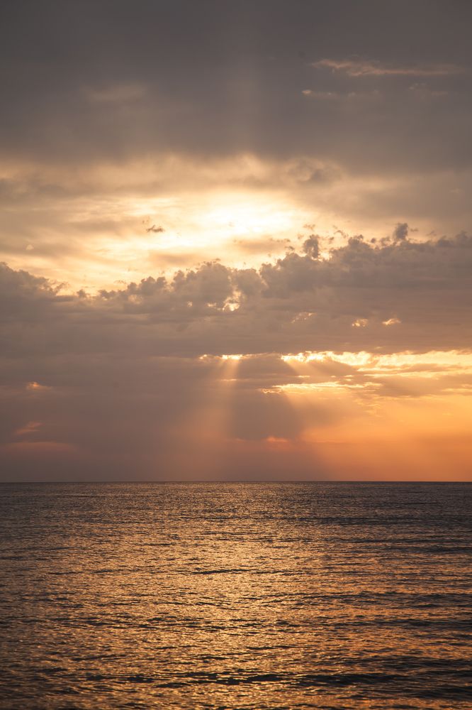 Фотография автора Мария Веселова