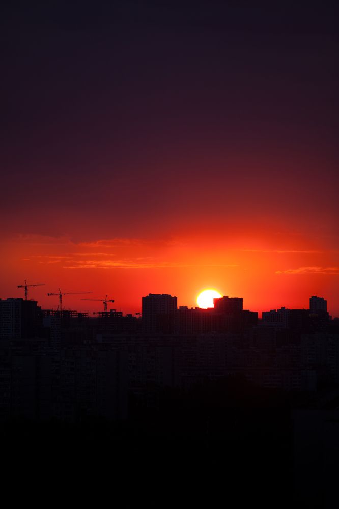 Фотография автора Мария Веселова