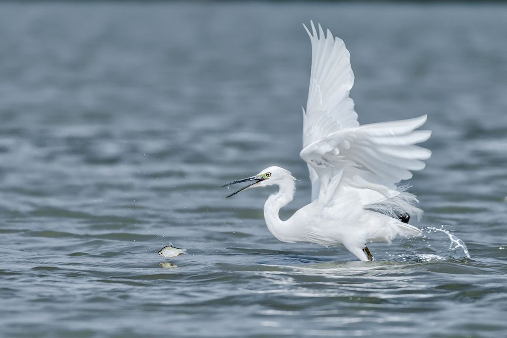 Photograph by Mohidul Islam