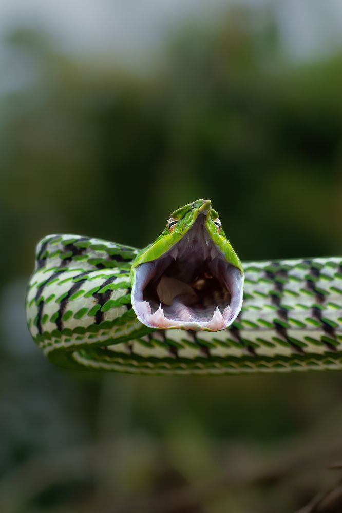 Photograph by Anandhu M