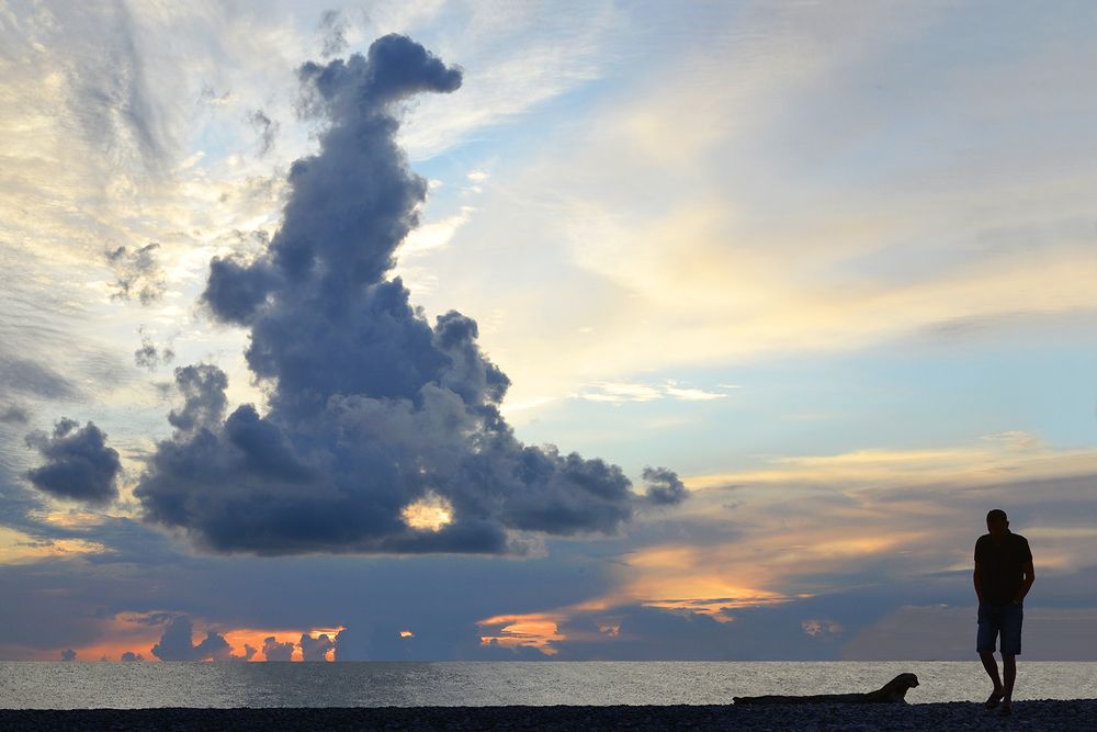 ОДИН  У  МОРЯ