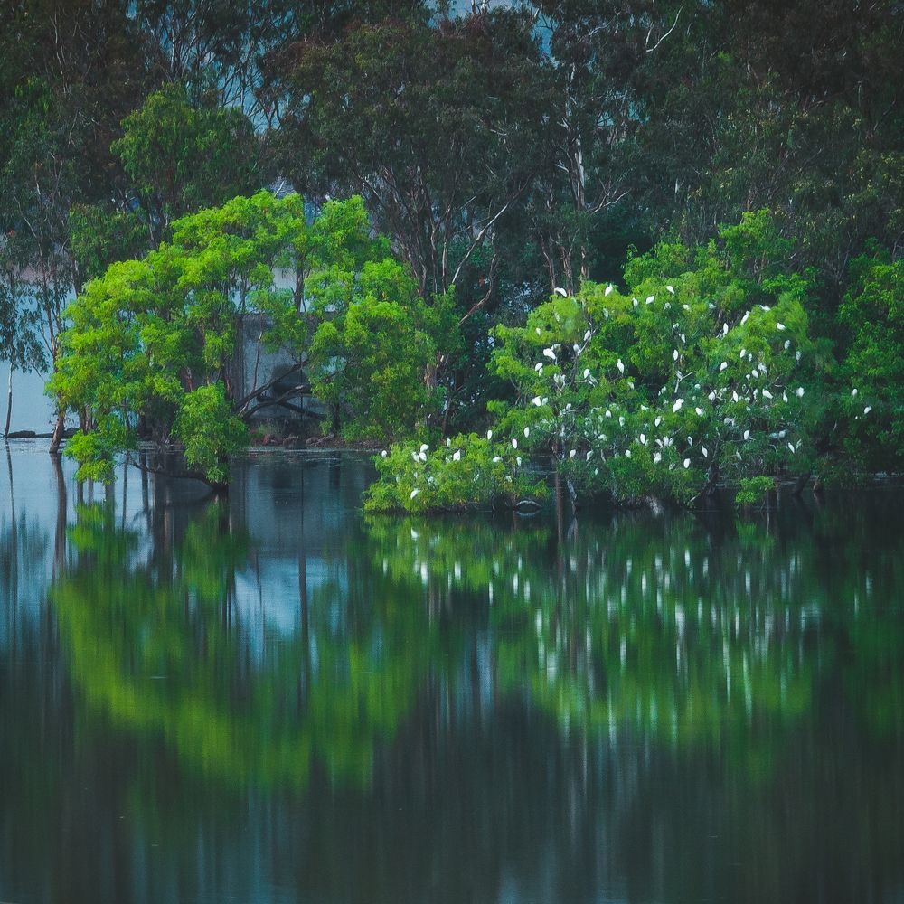 Photograph by Abhijeet Sawant