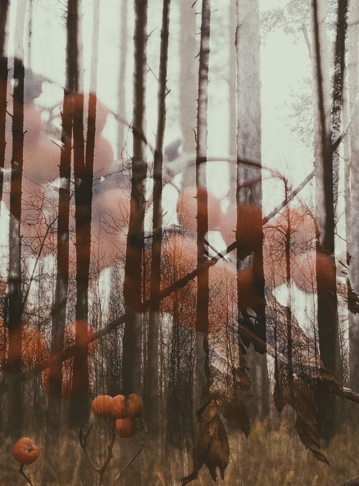 Photograph by Елена Гущина