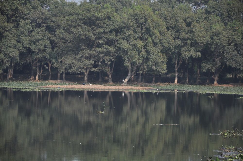 Photograph by SANDEEP KUMAR SHARMA