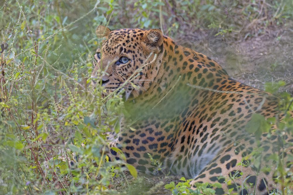 Photograph by RAJESH MAHAJAN