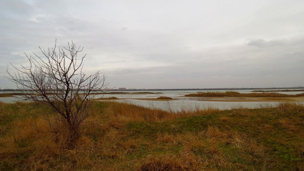 Мойнакское озеро. Крым.