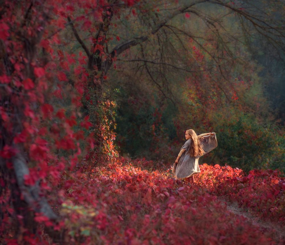 Photograph by Ольга Наний