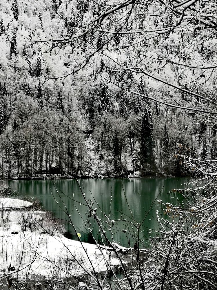 Photograph by Ольга Голованова