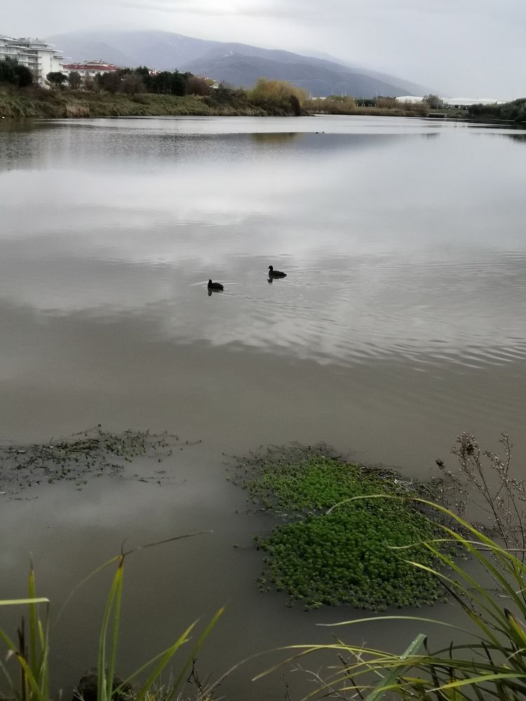 Photograph by Ольга Голованова