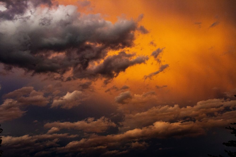 Photograph by Лана Горшунова