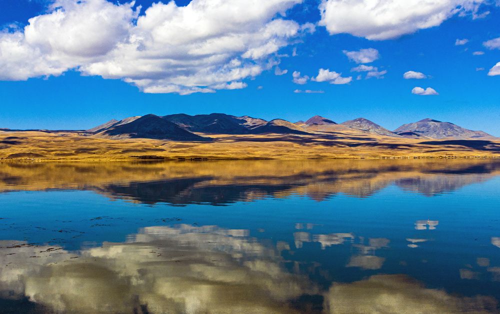 Photograph by Alex Kalpus