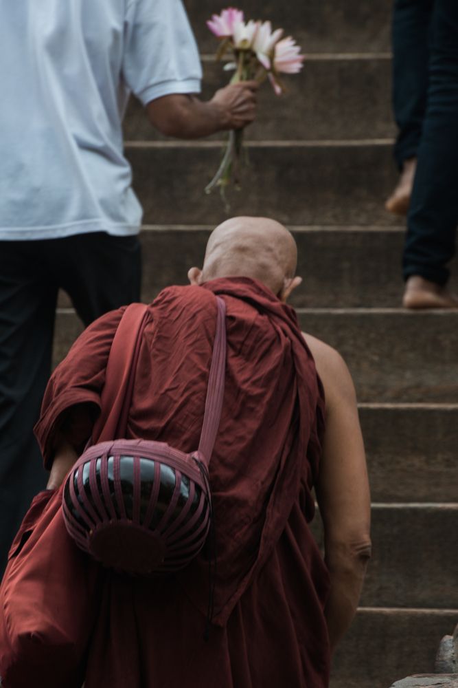 Buddhist Monk Daily Life