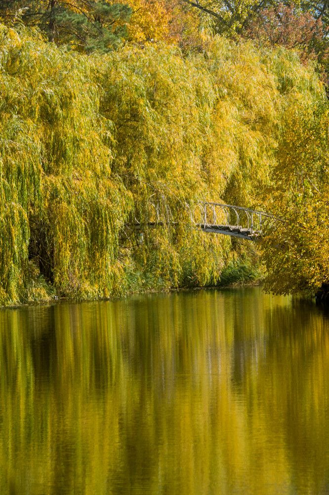 Photograph by Кристина Присакарь