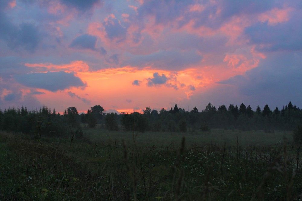 Photograph by Ксения Широбокова
