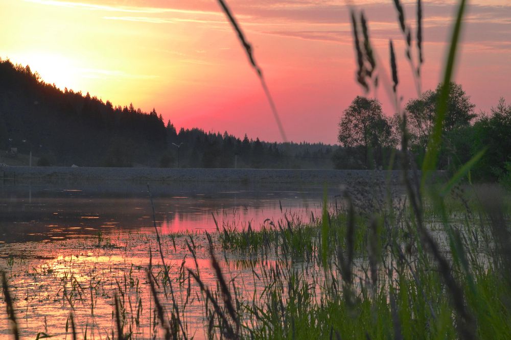 Photograph by Ксения Широбокова