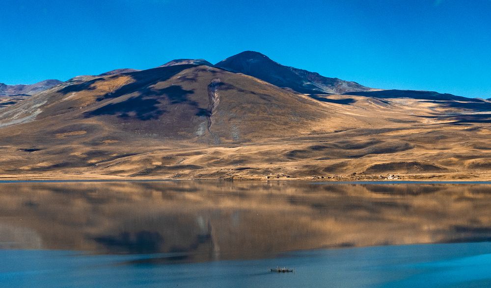 Photograph by Alex Kalpus