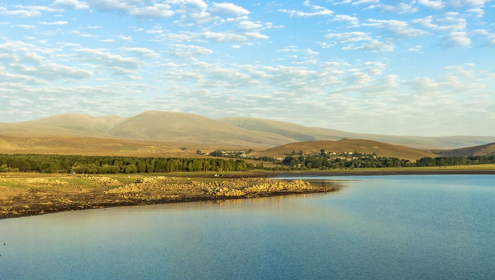 Photograph by Alex Kalpus