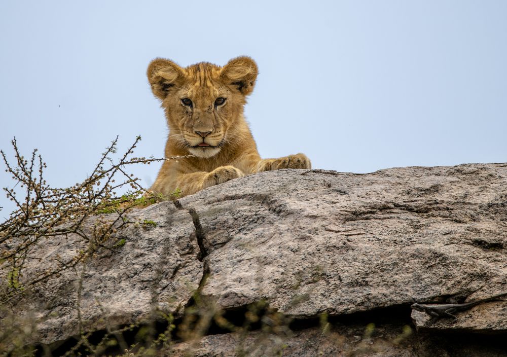 Photograph by Sergey Puponin