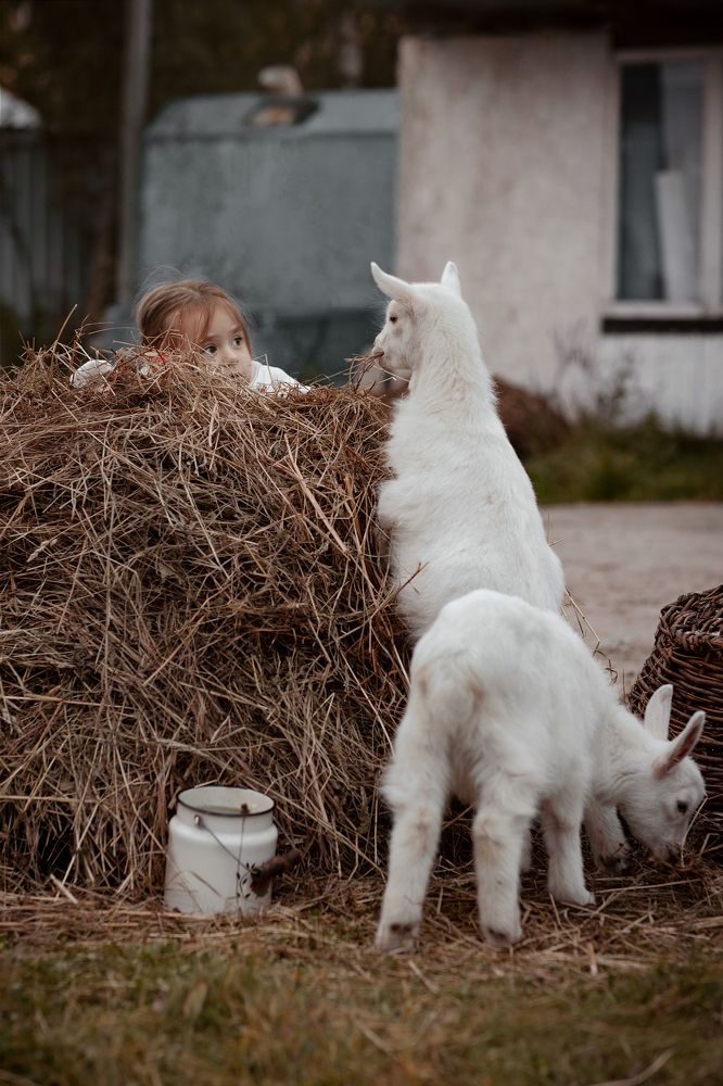 Photograph by Чернецкая Кристина
