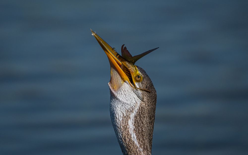 Photograph by Amresh Mishra