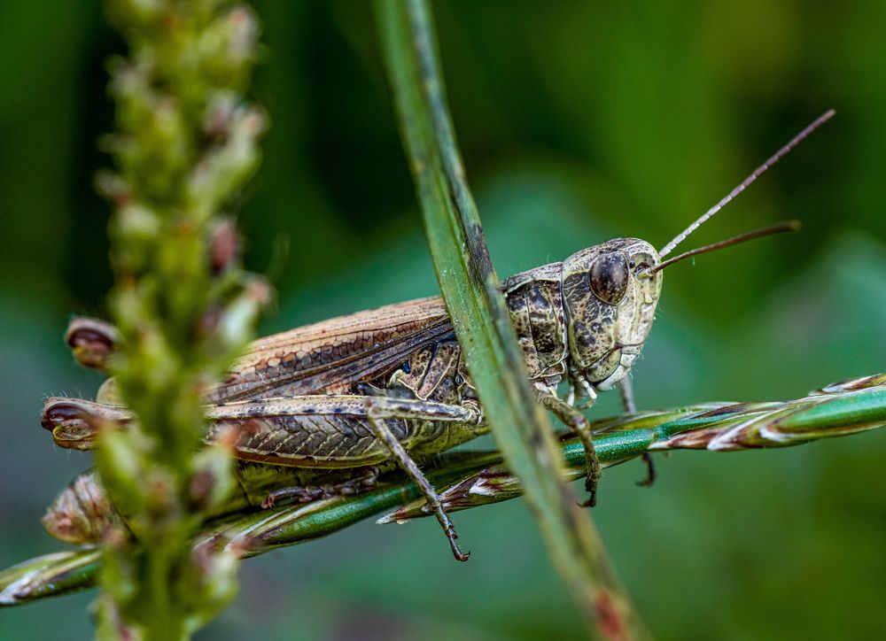 Photograph by Наталья