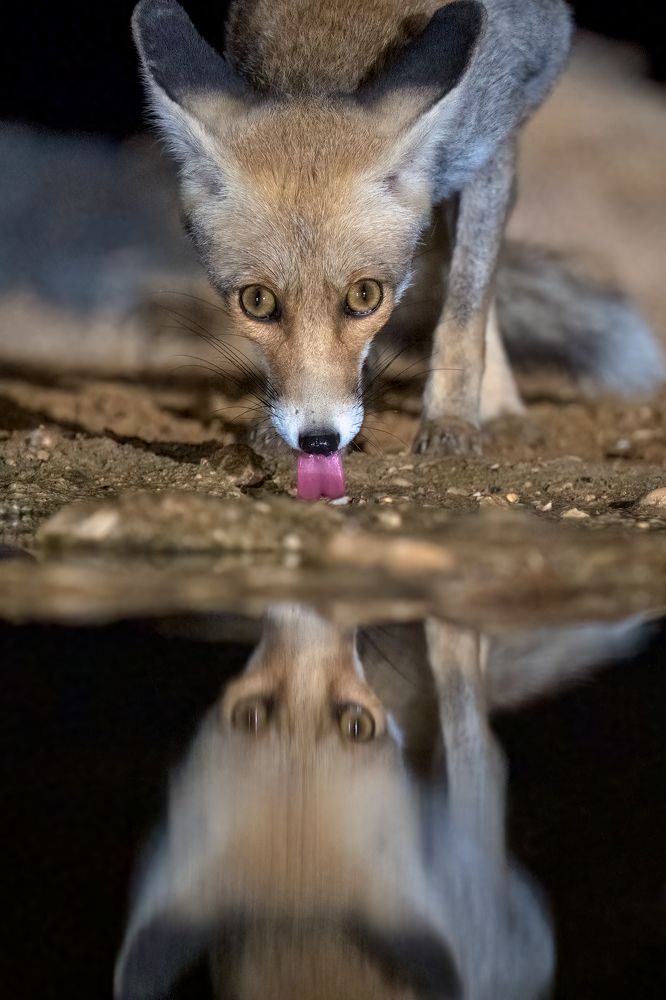 Photograph by Arie Burla